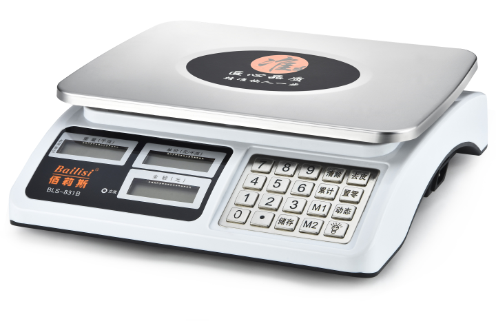 <strong>Electronic Price Computing Scale Stainless Steel ACS-831</strong>